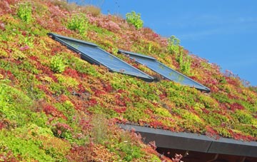 Idmiston living roof systems