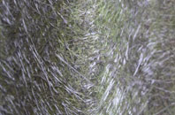 Idmiston fibreglass roof work